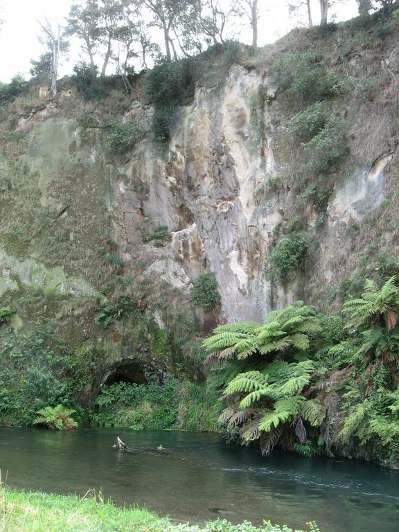 A1 Troutfishing At Tirau Villa Exterior photo
