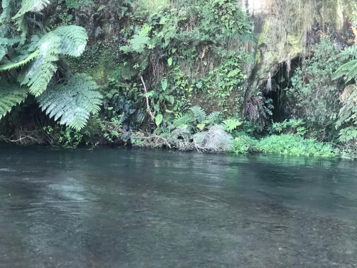 A1 Troutfishing At Tirau Villa Exterior photo